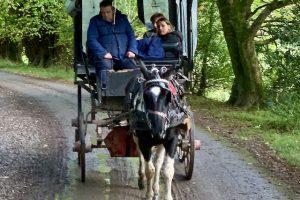 Photo of blind travelers enjoy a horse drawn carriage ride in a park in Killarney