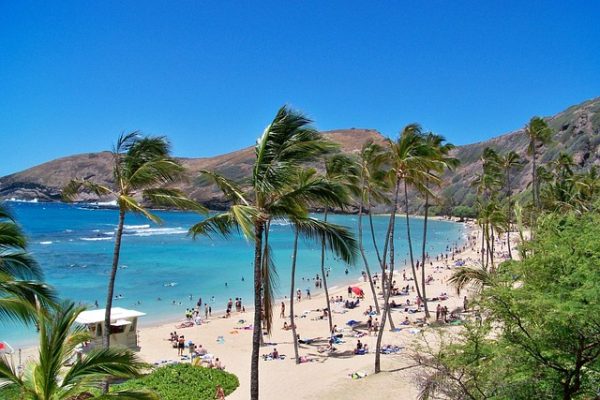 amandinelefebvre1-hawaii-90931_640