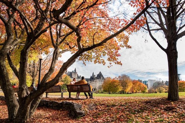 ottawagraphics-fall-4641619_640